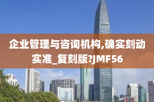 企业管理与咨询机构,确实刻动实准_复刻版?JMF56