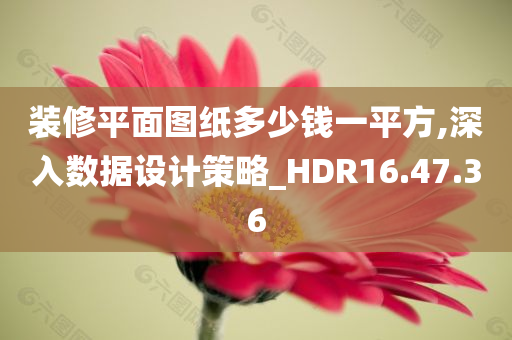 装修平面图纸多少钱一平方,深入数据设计策略_HDR16.47.36