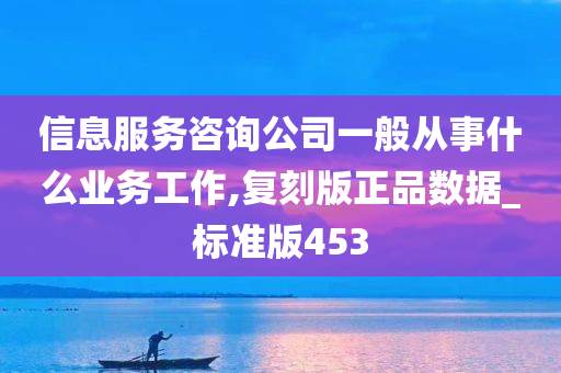 信息服务咨询公司一般从事什么业务工作,复刻版正品数据_标准版453