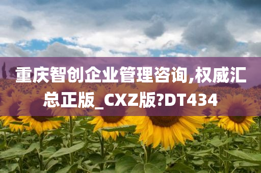 重庆智创企业管理咨询,权威汇总正版_CXZ版?DT434