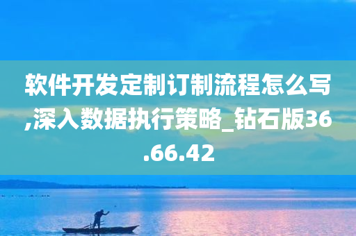 软件开发定制订制流程怎么写,深入数据执行策略_钻石版36.66.42