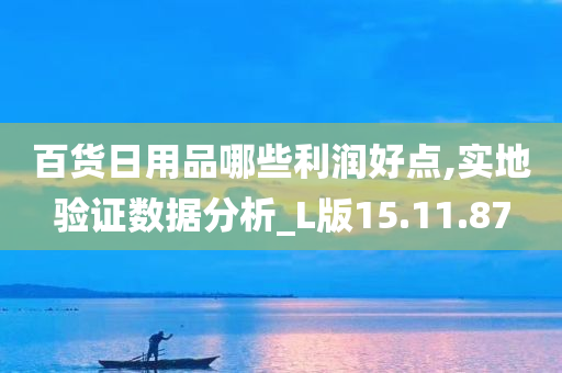 百货日用品哪些利润好点,实地验证数据分析_L版15.11.87