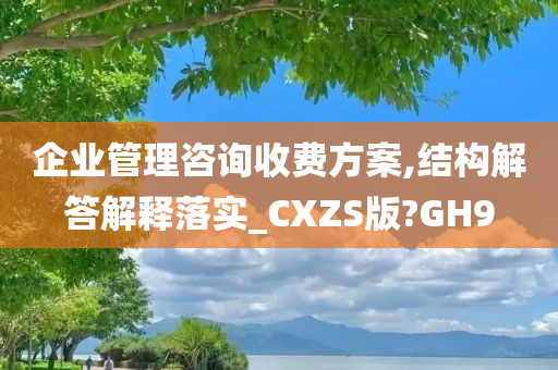 企业管理咨询收费方案,结构解答解释落实_CXZS版?GH9