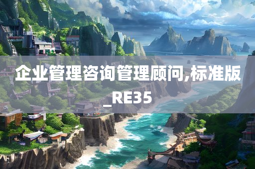 企业管理咨询管理顾问,标准版_RE35