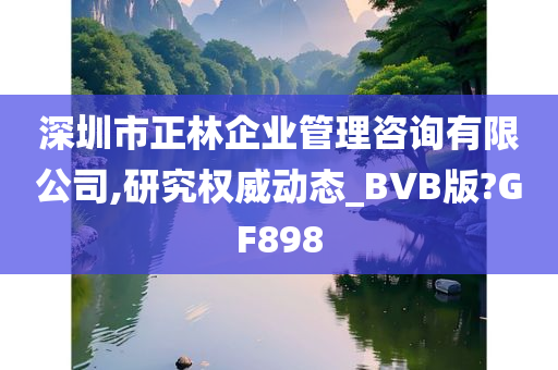 深圳市正林企业管理咨询有限公司,研究权威动态_BVB版?GF898