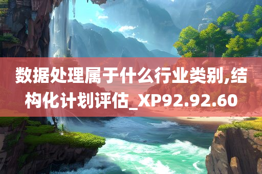 数据处理属于什么行业类别,结构化计划评估_XP92.92.60