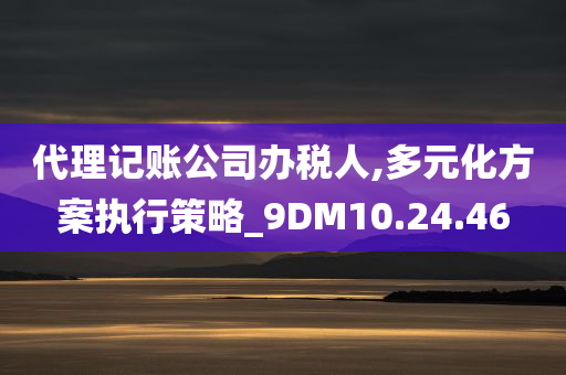 代理记账公司办税人,多元化方案执行策略_9DM10.24.46