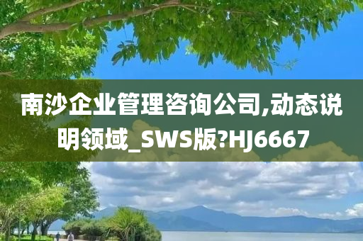 南沙企业管理咨询公司,动态说明领域_SWS版?HJ6667