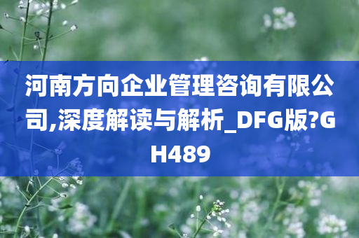 河南方向企业管理咨询有限公司,深度解读与解析_DFG版?GH489