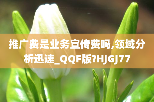 推广费是业务宣传费吗,领域分析迅速_QQF版?HJGJ77