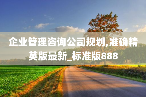 企业管理咨询公司规划,准确精英版最新_标准版888