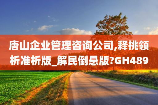 唐山企业管理咨询公司,释挑领析准析版_解民倒悬版?GH489