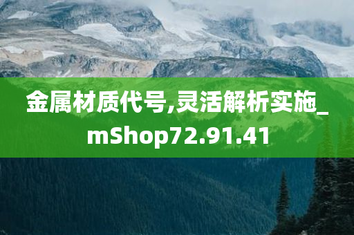 金属材质代号,灵活解析实施_mShop72.91.41