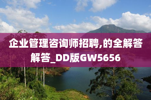 企业管理咨询师招聘,的全解答解答_DD版GW5656