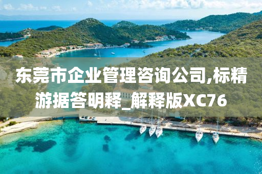 东莞市企业管理咨询公司,标精游据答明释_解释版XC76