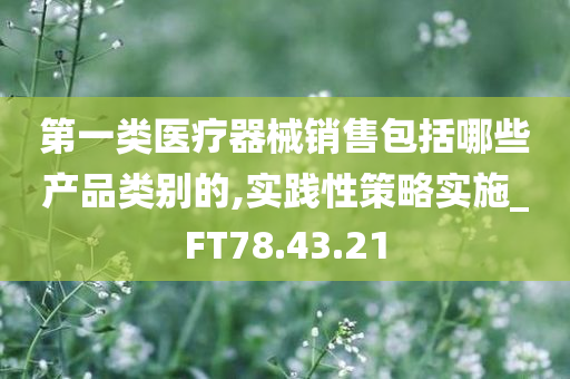 第一类医疗器械销售包括哪些产品类别的,实践性策略实施_FT78.43.21