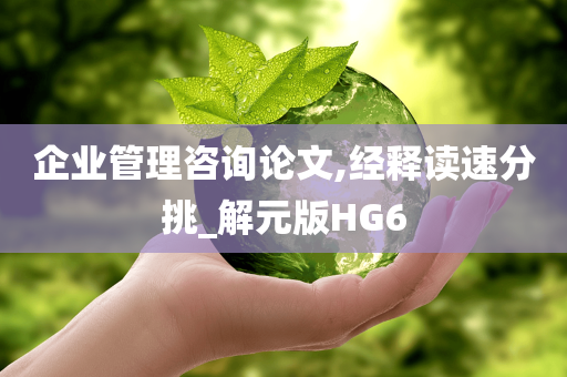 企业管理咨询论文,经释读速分挑_解元版HG6