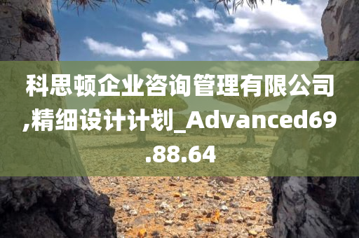 科思顿企业咨询管理有限公司,精细设计计划_Advanced69.88.64