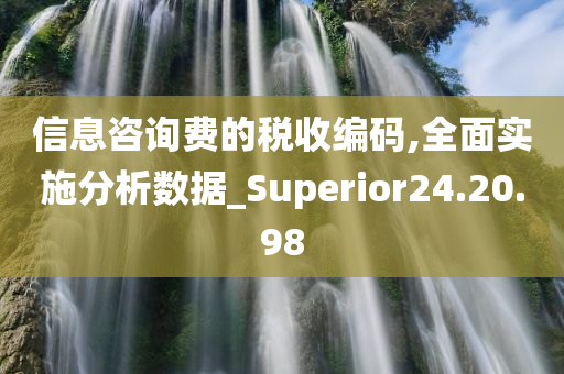 信息咨询费的税收编码,全面实施分析数据_Superior24.20.98