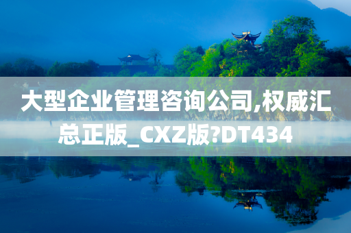 大型企业管理咨询公司,权威汇总正版_CXZ版?DT434