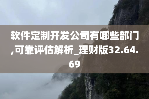 软件定制开发公司有哪些部门,可靠评估解析_理财版32.64.69