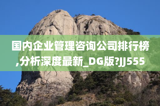 国内企业管理咨询公司排行榜,分析深度最新_DG版?JJ555