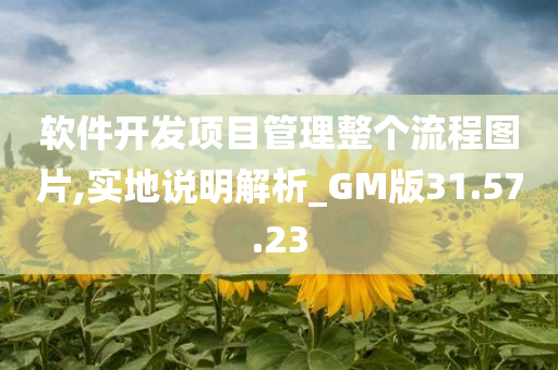 软件开发项目管理整个流程图片,实地说明解析_GM版31.57.23