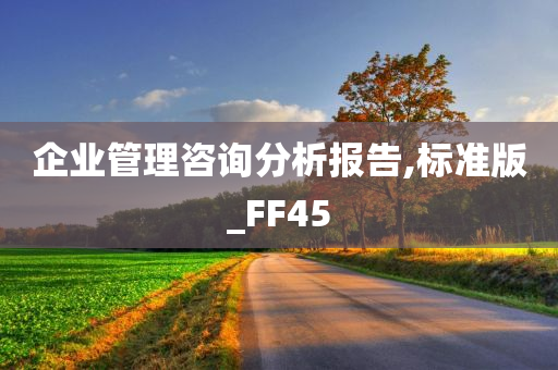 企业管理咨询分析报告,标准版_FF45