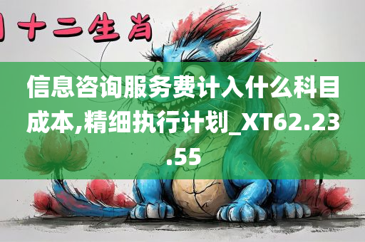 信息咨询服务费计入什么科目成本,精细执行计划_XT62.23.55