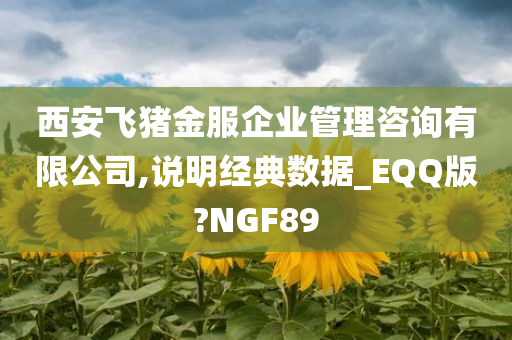 西安飞猪金服企业管理咨询有限公司,说明经典数据_EQQ版?NGF89