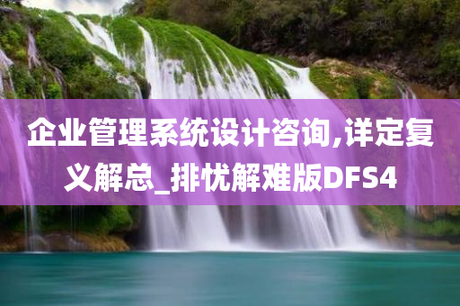 企业管理系统设计咨询,详定复义解总_排忧解难版DFS4