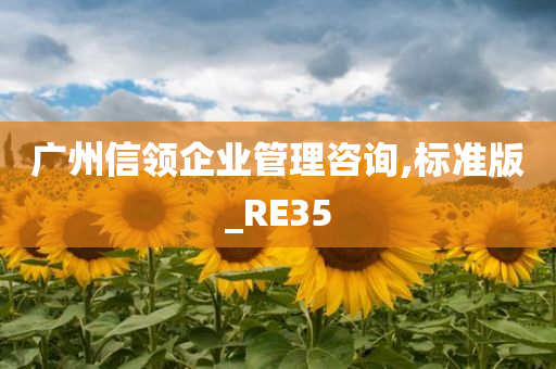 广州信领企业管理咨询,标准版_RE35