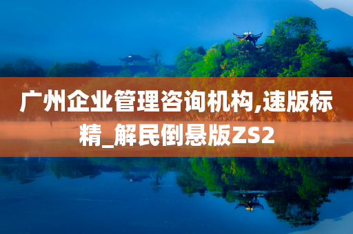 广州企业管理咨询机构,速版标精_解民倒悬版ZS2