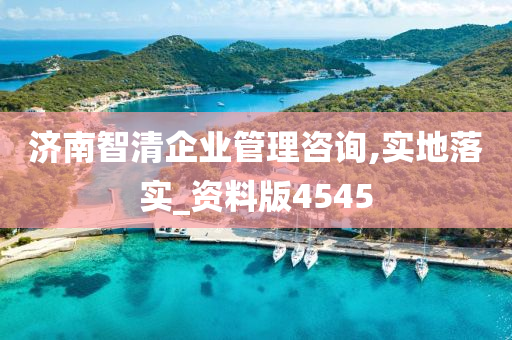 济南智清企业管理咨询,实地落实_资料版4545