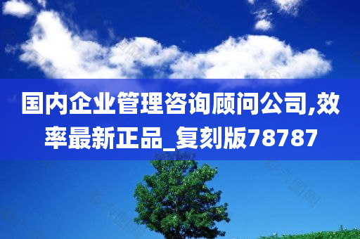 国内企业管理咨询顾问公司,效率最新正品_复刻版78787