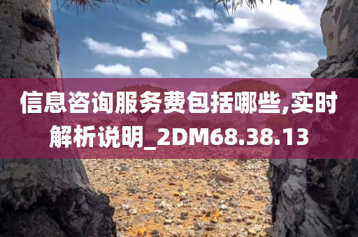 信息咨询服务费包括哪些,实时解析说明_2DM68.38.13