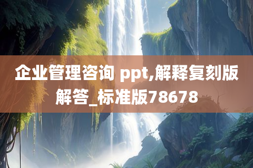 企业管理咨询 ppt,解释复刻版解答_标准版78678