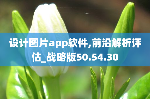 设计图片app软件,前沿解析评估_战略版50.54.30