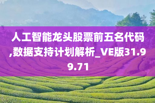 人工智能龙头股票前五名代码,数据支持计划解析_VE版31.99.71