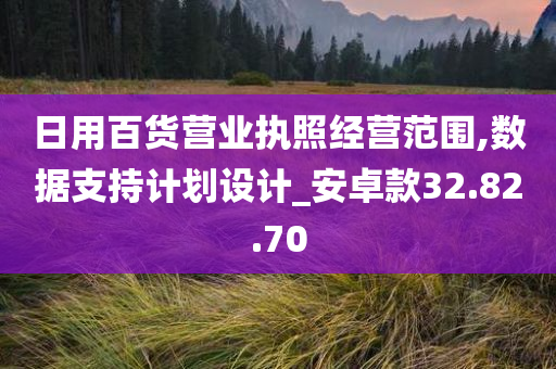 日用百货营业执照经营范围,数据支持计划设计_安卓款32.82.70