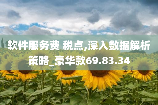 软件服务费 税点,深入数据解析策略_豪华款69.83.34