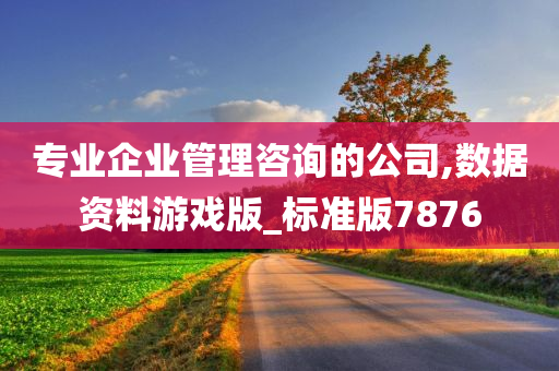 专业企业管理咨询的公司,数据资料游戏版_标准版7876