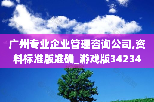 广州专业企业管理咨询公司,资料标准版准确_游戏版34234