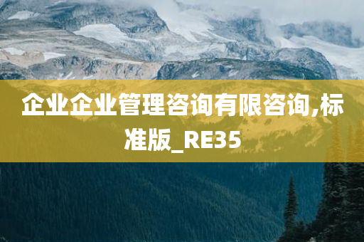 企业企业管理咨询有限咨询,标准版_RE35