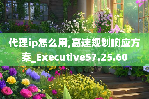 代理ip怎么用,高速规划响应方案_Executive57.25.60