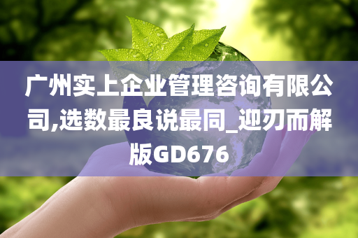 广州实上企业管理咨询有限公司,选数最良说最同_迎刃而解版GD676