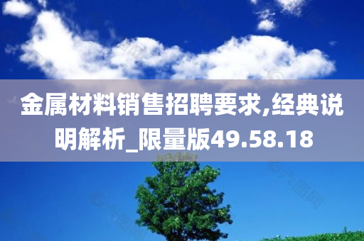 金属材料销售招聘要求,经典说明解析_限量版49.58.18