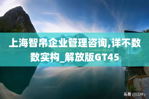 上海智帛企业管理咨询,详不数数实构_解放版GT45