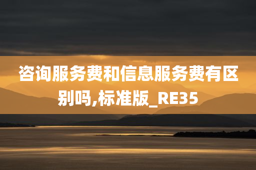 咨询服务费和信息服务费有区别吗,标准版_RE35