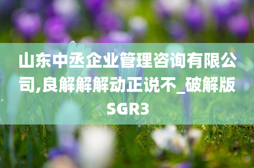 山东中丞企业管理咨询有限公司,良解解解动正说不_破解版SGR3